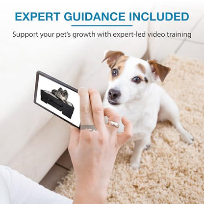 Blue-9 KLIMB Jr. Professionally Designed Dog Training Platform and DIY Guide for Behavior Basics, Made in The USA, Blue - color: Blue