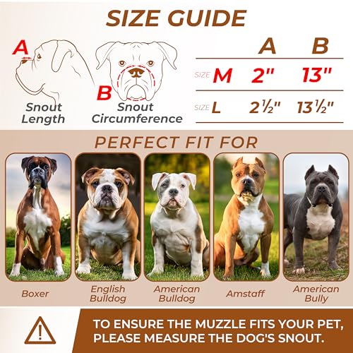 Metal Muzzle for Boxer Dog Breed – Bite Proof Boxer Muzzle for Medium and Large Sized Dogs – Steel Wire Basket Muzzles for Dogs English Bulldog, American Bulldog etc. - size: Medium