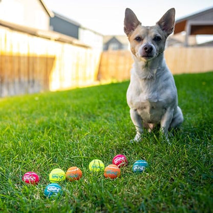 Outward Hound Squeaker Ballz – Squeaky Tiny Tennis Balls for Small Dogs Under 15 lbs, Fetch & Training, X-Small (1.5"), 8-Pack - color: Multi Squeaker Balls, size: X-Small, style: 8-Pack
