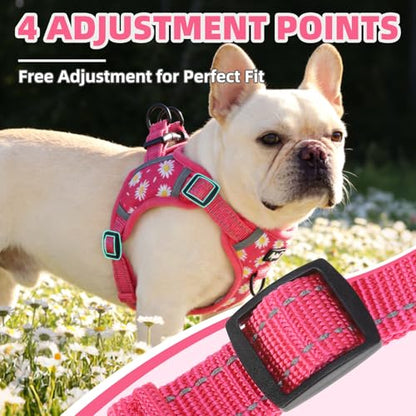 PUPTECK Dog Harness Small Sized Dog, Step in Adjustable Reflective Dog Vest Harness Escape Proof, No Pull Soft Padded Harness Easy Control, Fuschia, S - color: Fuschia(Daisy), size: S (CHEST: 13"-18")
