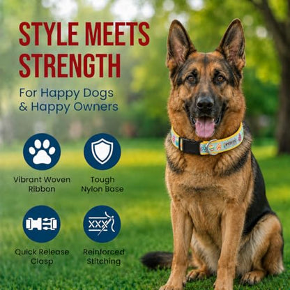 THE WORTHY DOG Spring Holiday Easter Eggs Dog Collar – Durable Nylon, Woven Ribbon, Quick-Release Buckle, Nickel D-Ring – Blue, X-Large - color: Easter Eggs - Blue, size: X Large