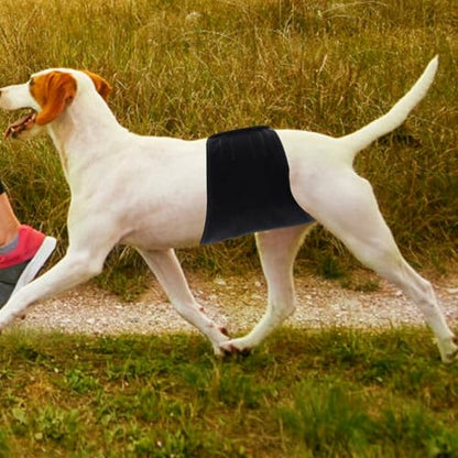 Washable Male Dog Diaper Belly Band, Reusable Breathable Pet Diaper Wrap, Water Absorbent Black Large (70g) for Home Training and Incontinence