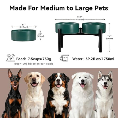Dog Bowls Elevated - Ceramic Raised Dog Bowl with Non Slip Steel Stainless Stand - No Spill and Heated Feeding Station - Food and Water Dish Set for Medium to Large Pet - Each Holds 7.5 Cups – Green - color: Green, size: 2 Bowls - 7.5 Cups Each