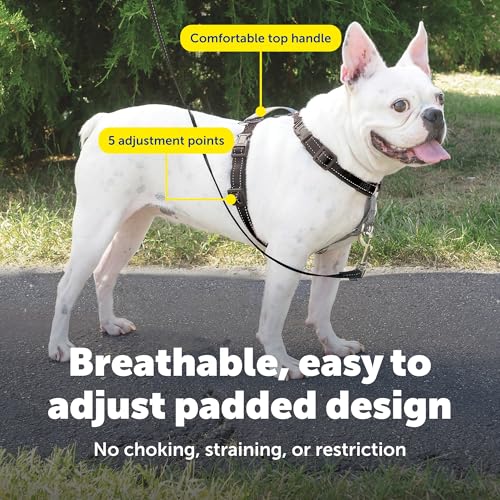 PetSafe 3 in 1 No-Pull Dog Harness - Walk, Train or Travel - Helps Prevent Pets from Pulling on Walks - Seatbelt Loop Doubles as Quick Access Handle - Reflective Accents - Small, Black - color: Black, size: Small (Pack of 1)