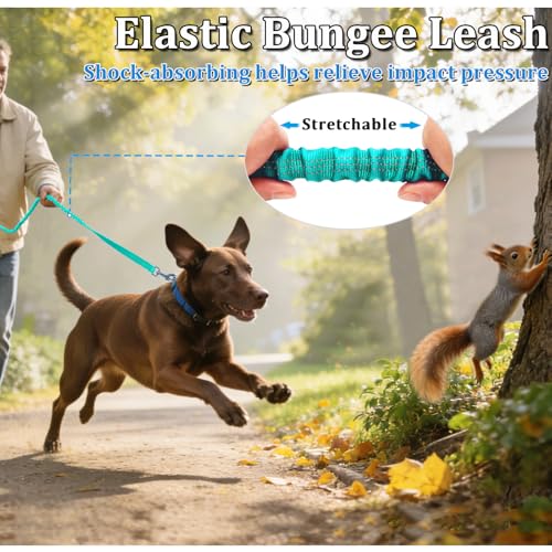 WYuZe 4FT Bungee Dog Leash Shock Absorption Handle for Strong Small Dogs | Stretch to 5.5ft, Soft Padded Handle, Reflective 3/4" Width Nylon Leash for Anti-Pull Training Walking Hiking, Teal - color: Teal