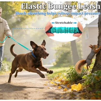 WYuZe 4FT Bungee Dog Leash Shock Absorption Handle for Strong Small Dogs | Stretch to 5.5ft, Soft Padded Handle, Reflective 3/4" Width Nylon Leash for Anti-Pull Training Walking Hiking, Teal - color: Teal