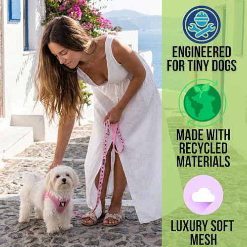 EcoBark Teacup Dog Harness - Luxury Soft XXXS Dog Harnesses for Puppy & Toy Breed Dog - Reflective Mini Step in Halter Vest (Baby Pink) - color: Baby Pink, size: XXXS- 2 to 3 lbs- Chest up to 10 in (Pack of 1)
