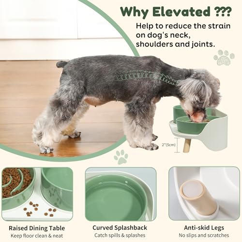 Elevated Slow Feeder Dog Bowls - Ceramic Food and Water Bowl Set with Stand - Raised Pet Dishes for Small and Medium Sized Dogs - color: Green