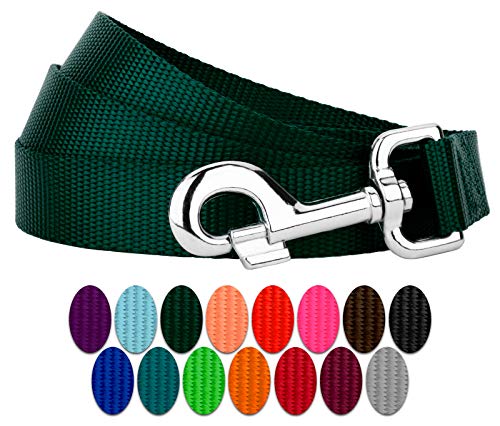 Country Brook Petz - Vibrant 17 Color Selection - Heavyduty Doublehandle Nylon Leash (6 Foot, 3/4 Inch Wide, Green) - color: Green