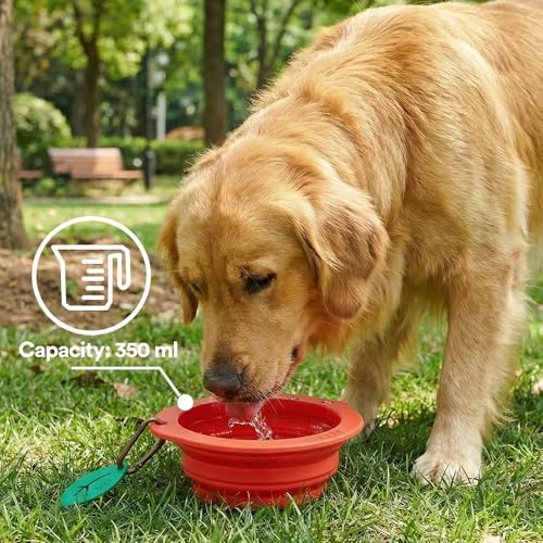 Collapsible Silicone Dog Bowl (Red) - color: Red