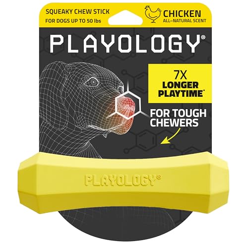 Playology Dog Toys | Squeaky Chew Stick for Dogs | Chicken Scented Medium Fetch Toy | Squeaky Dog Chew Toy - size: Medium, style: Chicken