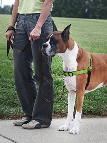 PetSafe Easy Walk Deluxe Dog Harness, No Pull Dog Harness – Perfect for Leash & Harness Training – Stops Pets from Pulling and Choking on Walks – Large, Apple - color: Apple Green, size: Large (Pack of 1)