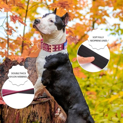 Heavy Duty Tactical Dog Collar with Neoprene Padded and Metal Buckle, Reflective Nylon for Medium to Large Dogs(Wine Red, Medium) - color: Wine Red, size: Medium (Pack of 1)