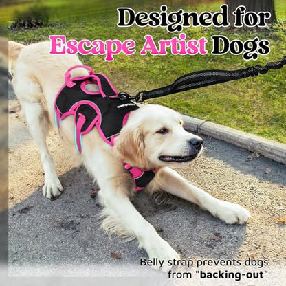 rabbitgoo Escape Proof Dog Harness Medium, Soft Padded Full Body Pet Harness, Reflective Adjustable No Pull Vest with Lift Handle and Leash Clip for Walking Hiking Training, Pink & Black, M - color: Pink & Black, size: Medium (Pack of 1)