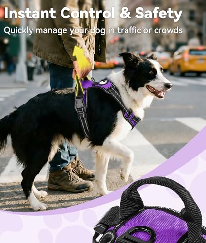 Joytale No Pull Dog Harness Medium Sized Dog, Reflective Pet Vest with Front Clip, Adjustable Soft Padded Harnesses with Easy Control Handle for Training and Walking, Purple, M - color: Purple, size: Medium