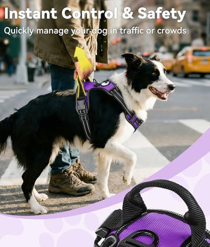 Joytale No Pull Dog Harness Medium Sized Dog, Reflective Pet Vest with Front Clip, Adjustable Soft Padded Harnesses with Easy Control Handle for Training and Walking, Purple, M - color: Purple, size: Medium