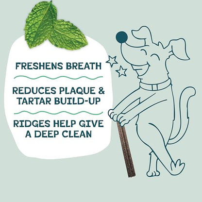Shameless Pets Blueberry & Mint Dental Chews for Dogs, 32 Chews - Natural Dog Teeth Cleaning Treats with Fresh Breath Benefits | Grain-Free Dental Sticks for Small, Medium & Large Dogs - size: 1.75 Pound (Pack of 1)