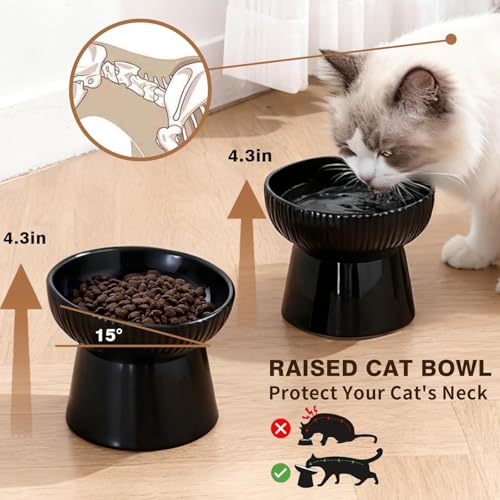 Elevated Cat Food Bowl, Ceramic Raised and Tilted Water Bowl, Whisker Fatigue Cat Bowls for Indoor Cats, Anti Vomiting and Protect Spines Pet Feeding Dishes for Kittens Small Dog, Heavy Non-Slip Base - color: Black