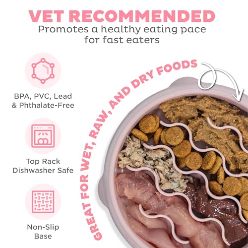 Outward Hound Fun Feeder Slo Bowl – Small 3/4-Cup Capacity, Slow Feeding, Small Dogs, Puppies & Cats, Non-Slip, Pink, Wave Pattern - color: Pink, size: Small