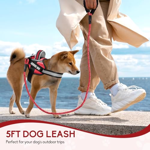 Service Dog Vest Harness and Leash Set, Animire in Training Dog Harness with 10 Dog Patches, Reflective Dog Leash with Soft Padded Handle for Small, Medium, Large, and Extra-Large Dogs (RED,S) - color: Red, size: S