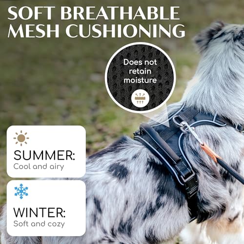 Freudentier No Pull Dog Harness with Handle – Soft Breathable Mesh Padding, Front & Back Clips, Adjustable & Reflective Front Range Harness for Small, Medium & Large Dogs (Black, XS) - color: Black, size: XS