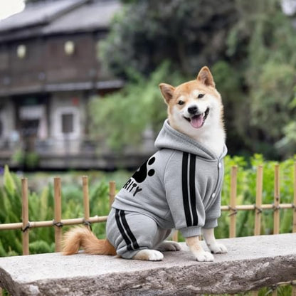 Dog Security Clothes - 4 Legs Jumpsuit Sweatshirt Hoodie - Soft & Warm Winter Outfit Pullover Sweater for Small Medium Large Dogs Cats (Grey, XX-Small) - color: Grey, size: XX-Small