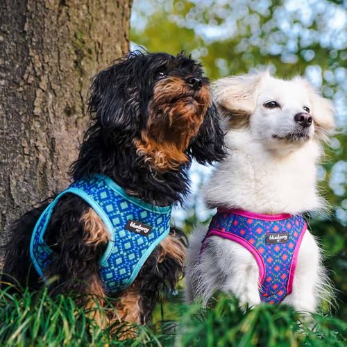 Blueberry Pet Southwestern Tribal Lozenges Navy Blue Dog Harness Vest, XS, Adjustable Harnesses for Puppies Small Dogs - color: Navy Blue, size: (15 1/2"-16 1/2") Chest Girth (Pack of 1)