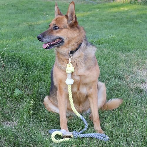 Premium Cotton Rope Leash for Medium & Large Dogs – 5 ft Handcrafted, Strong, Stylish & Durable with 360° Swivel Heavy-Duty Clip – Perfect for Everyday Walks, Training & Weddings - Yellow-Grey Ombre - color: Mint Yellow-Green Ombre