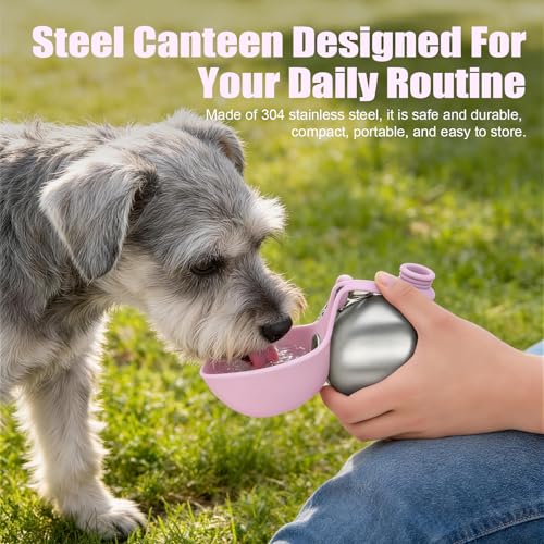 Portable Dog Water Bottle 10oz Stainless Steel Travel Dog Water Dispenser with Bowl No-Spill Puppy Water Bottle for Walking Hiking Small Dog Water Bottle - color: Pink