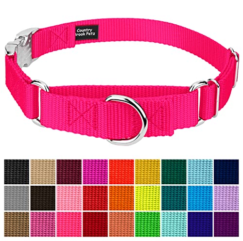 Country Brook Petz - Martingale Dog Collar - Heavy Duty Nylon Adjustable Martingale Dog Collar with Premium Buckle for Small Medium Large Breeds (5/8 Inch, Extra Small, Hot Pink) - color: Hot Pink, size: Extra Small (Pack of 1)