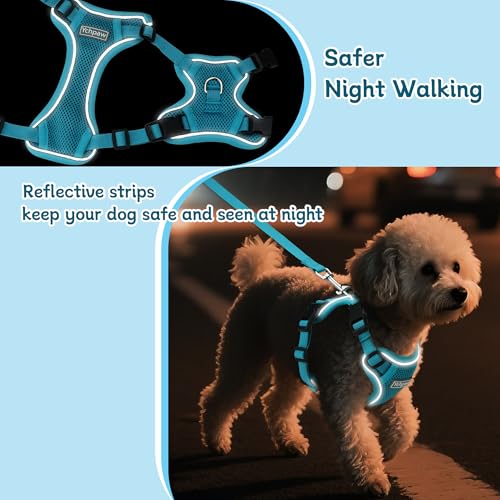 Small Dog Harness and Leash Set, Reflective Soft Breathable Mesh Vest, 3 Buckles, Adjustable Neck and Chest,Step in Dog Harness for Walking, Running, Training, Turquoise, XS - color: Turquoise, size: X-Small