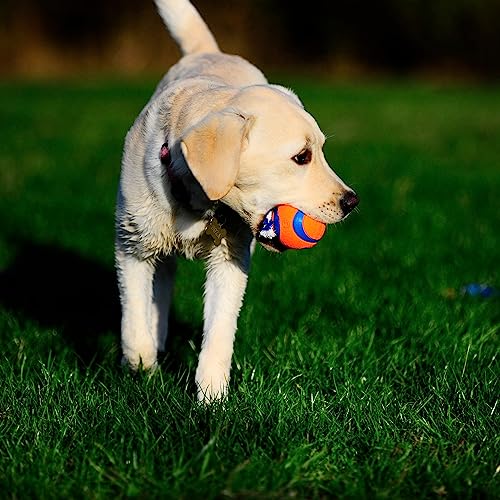 Chuckit! Ultra Toss Dog Toy, Medium Indoor and Outdoor Dog Toy for Dogs 20-60 Pounds - size: Medium, style: Ultra Toss