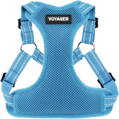 Best Pet Supplies Voyager Adjustable Step-In Flex Breathable Mesh Dog Harness for Small Medium Large Dogs (Baby Blue), S - color: Harness (Baby Blue), size: S