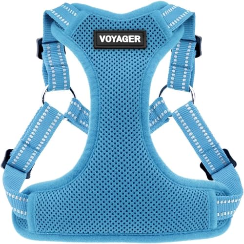 Best Pet Supplies Voyager Adjustable Step-In Flex Breathable Mesh Dog Harness for Small Medium Large Dogs (Baby Blue), M - color: Harness (Baby Blue), size: M