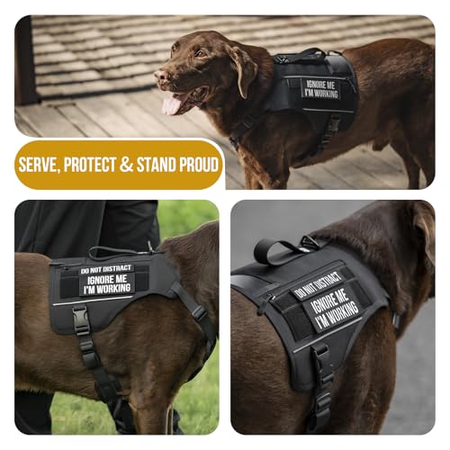 OneTigris Sentinel Pink Service Dog Vest with Patches, Reflective Lightweight Service Dog Harness with Pockets for Medium Large Dogs (Black, M: Neck 16-23", Chest 24-32") - color: Black, size: M: Neck 16-23", Chest 24-32"