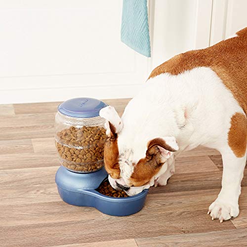 Petmate Replendish Feeder with Automatic Cat and Dog Feeder Green - color: Green, size: 5 LB