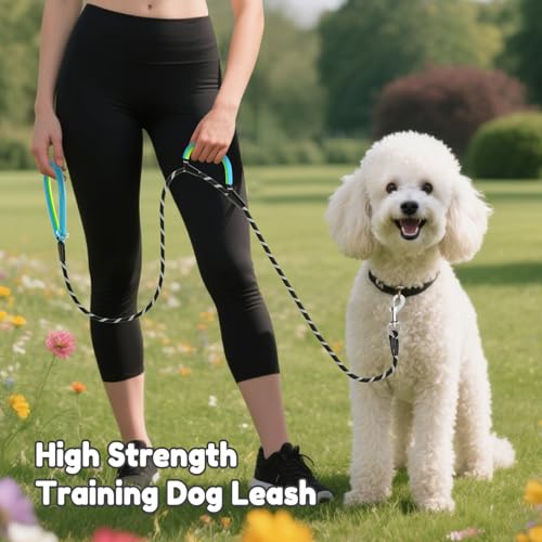 Dog Leash Heavy Duty 4/5/6ft XiaZ 2 Handles Dog Leashes for Medium Large Dogs 1/2 Inch 1000lb Strength Reflective PVC Waterproof-Handles Metal Hook Dual-Handle Rope Leash Nighttime Safety - color: Black, size: 6FT (1/2")
