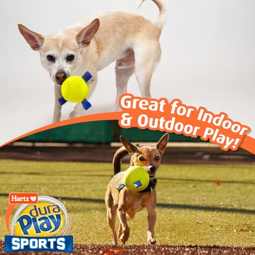 Hartz Dura Play Sports Baseball Dog Toy, Bacon Scented Squeaky Latex Yellow & Blue Toy, 1 Count - size: 1 Count, style: Baseball