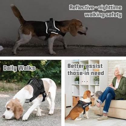 AUROTH Dog Harness and Leash Set, Soft Padded Service Dog Vest with 5.25FT Dog Leash, No Choke, Easy On Pet Vest, Adjustable Reflective No Pull Pet Vest Medium Sized Dog, Easy Walking and Training - color: Black, size: M(Neck:17.7"-24",Chest:23.6"-31.9")