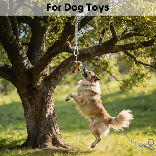Dog Tie Out Spring, Heavy Duty Shock Absorber Spring for Tie Out Cable & Chain, Rustproof Stainless Steel Buffer, Dog Leash Shock Absorber (1 Spring) - size: 1 Spring