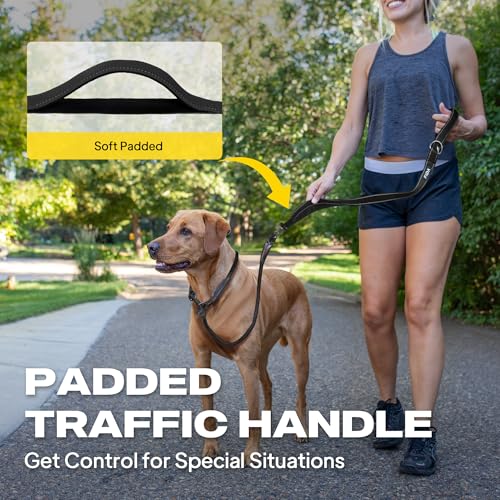 Fida 2-in-1 Slip Leads for Dogs with Double Handles, Tangle Free Leash for Large Dogs that Pull, Heavy Duty No Pull Training Leash Reflective Soft Padded for Large & Medium Breed(6ft,Black) - color: Black