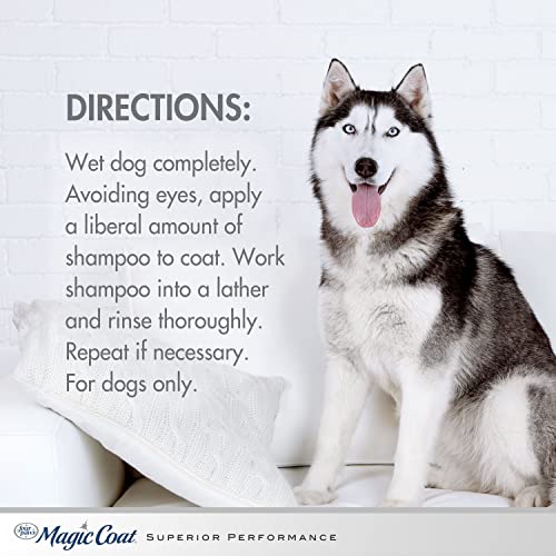 Four Paws Magic Coat Reduces Shedding Shampoo for Dogs Reduces Shedding Dog Shampoo 32 Ounces (1 Count) - size: 32 Ounces (1 Count), style: Reduces Shedding Dog Shampoo
