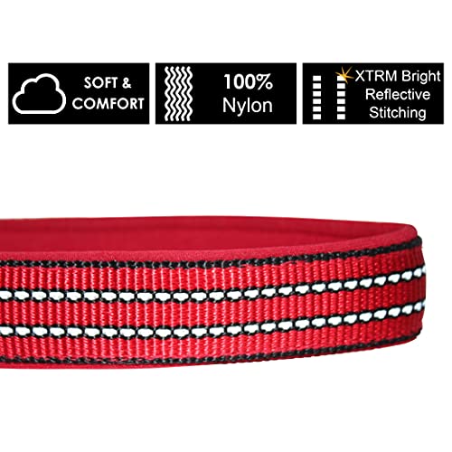 Kruz Dog Collar for Small Dogs (Width- 5/8", Length - 15"-17") Reflective Adjustable Pet Neck Band with Soft Padding, Heavy-Duty O-Ring, 100% Nylon Strap (Raspberry Pink, Small) - color: Raspberry pink, size: Small