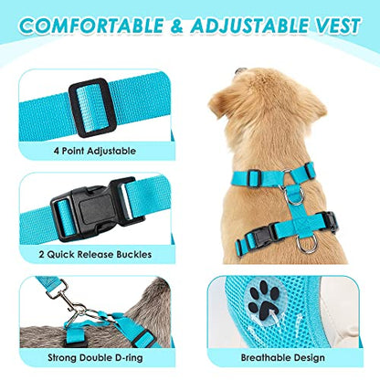 Lukovee Dog Car Harness Seat Belt, Adjustable Mesh Breathable Vest with Elastic Bungee Tether, Soft Padded 2-in-1 Safety Car Harness Seatbelt for Small Medium Large Dogs (Light Blue,XS) - color: Light Blue, size: X-Small