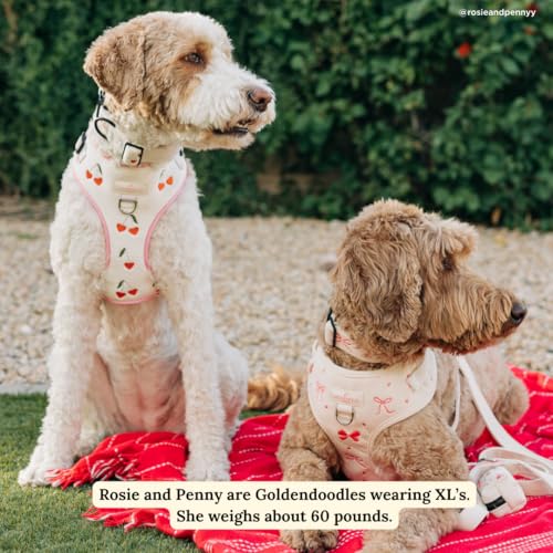 Lucy & Co. Ever So Sweet No-Pull Dog Harness, Adjustable Front Clip Harness with Comfort Padding, X-Large - color: Ever So Sweet, size: X-Large