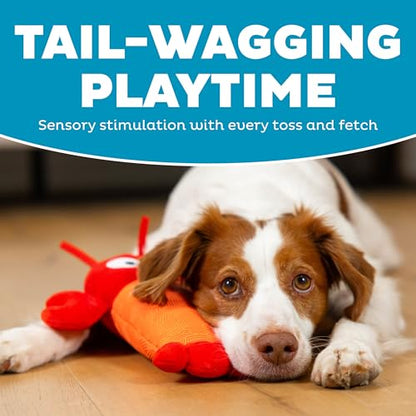 Outward Hound Coated Critterz Dog Toy – Plush & Molded Texture, Squeaky Fetch, Small & Medium Dogs, Lobster, 10.4" - color: Coated Critterz Lobster