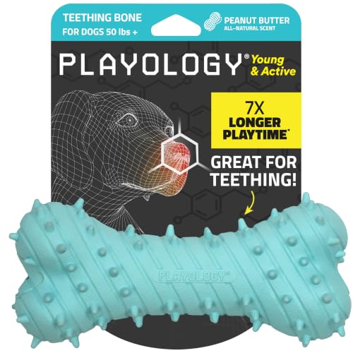 Playology Dog Toys | Teething Bone for Large Puppies and Young Dogs | Peanut Butter Scented Jumbo Dog Bone Chew Toy | Teething Puppy Essentials - size: Jumbo, style: Peanut Butter