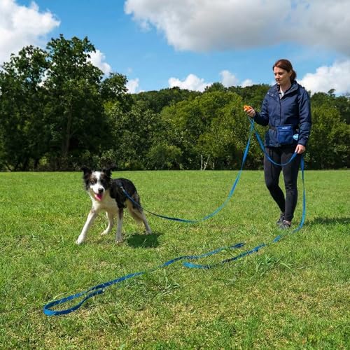 Dog Training Kit & Puppy Starter Set with 30ft Long Leash – Complete Recall System w/Magnetic Treat Pouch, Clicker, Collapsible Bowl & Waste Bags – Professional Tools (Navy Blue) - color: Complete Recall System - Navy Blue
