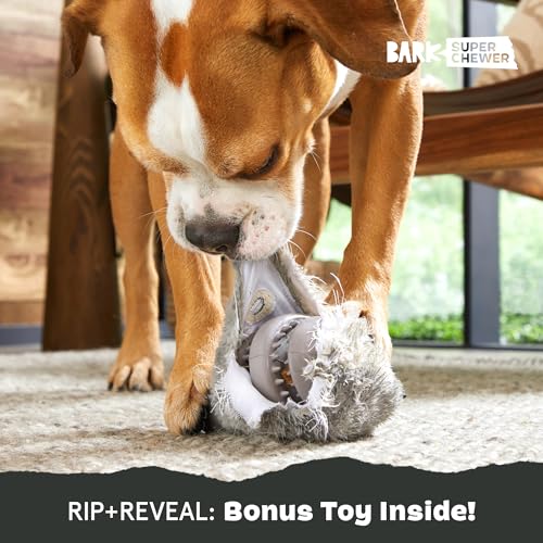 Barkbox Super Chewer Tough Dog Chew Toys for Aggressive Chewers, Plush 2 Toys in 1 (Hare Raiser - Large) - color: Hare - Large