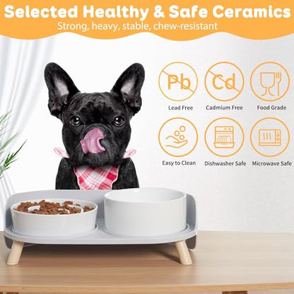 Elevated Slow Feeder Dog Bowls - Ceramic Food and Water Bowl Set with Stand - Raised Pet Dishes for Small and Medium Sized Dogs - color: White